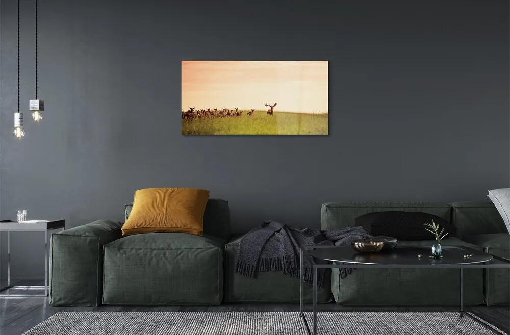 Sklenený obraz Stádo jeleňov poľa svitania 140x70 cm