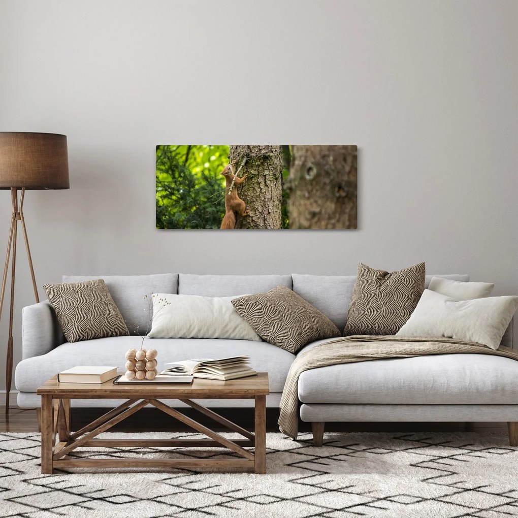 Obraz - Veverička (120x50 cm)