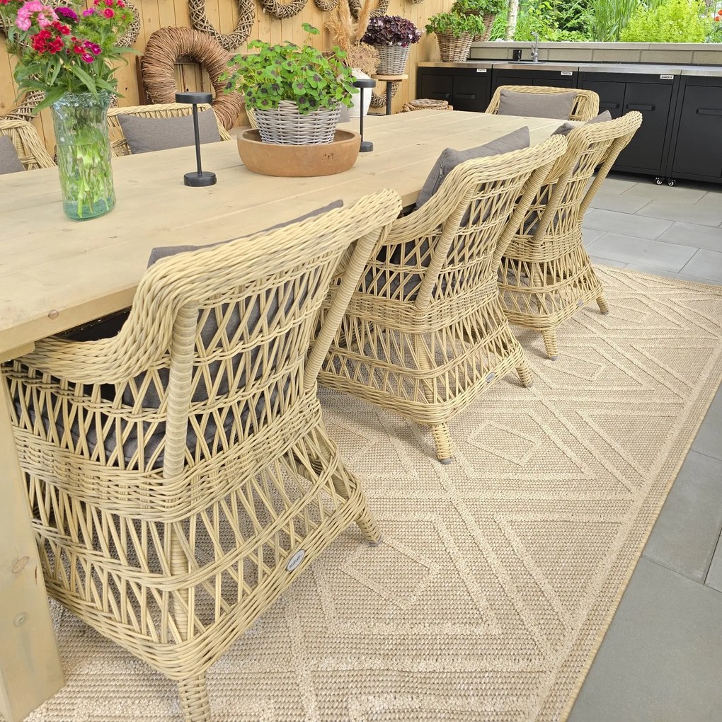 Ayyildiz, Kusový koberec Patara 4956 Beige – na von aj na doma, 80x250, béžová, chodba / predsieň