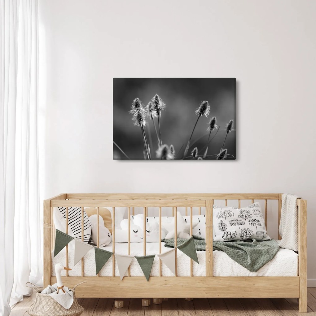 Obraz - Béžová soft grass N⁰2 (90x60 cm)