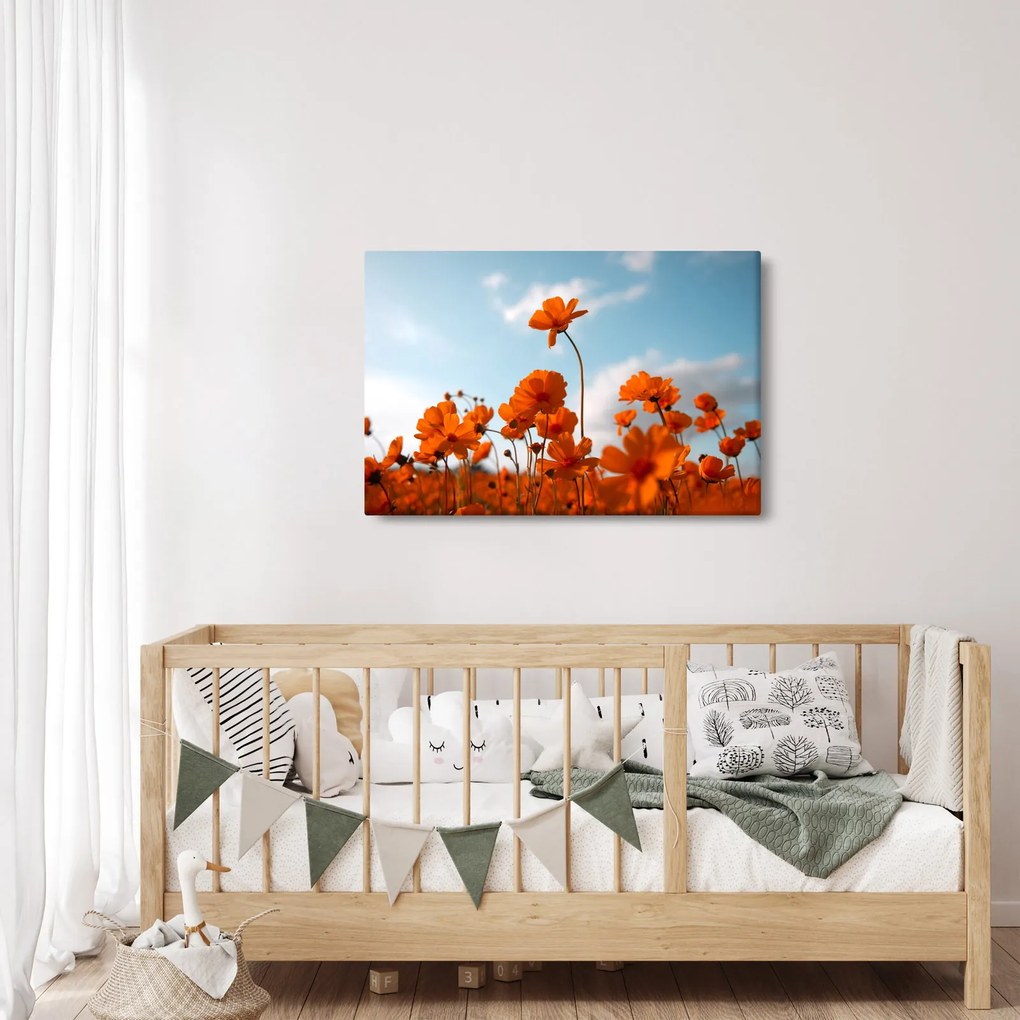 Obraz - Lúčne kvety (90x60 cm)