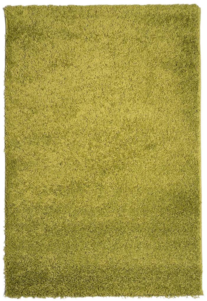 Mono Carpet Kusový koberec Efor Shaggy 1903 Green - 160x230 cm