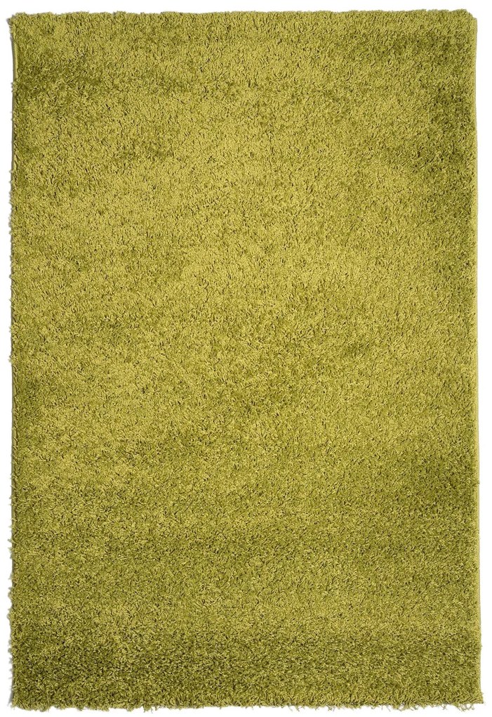 Mono Carpet, Kusový koberec Efor Shaggy 1903 Green, 80x150, zelená, obývacia izba