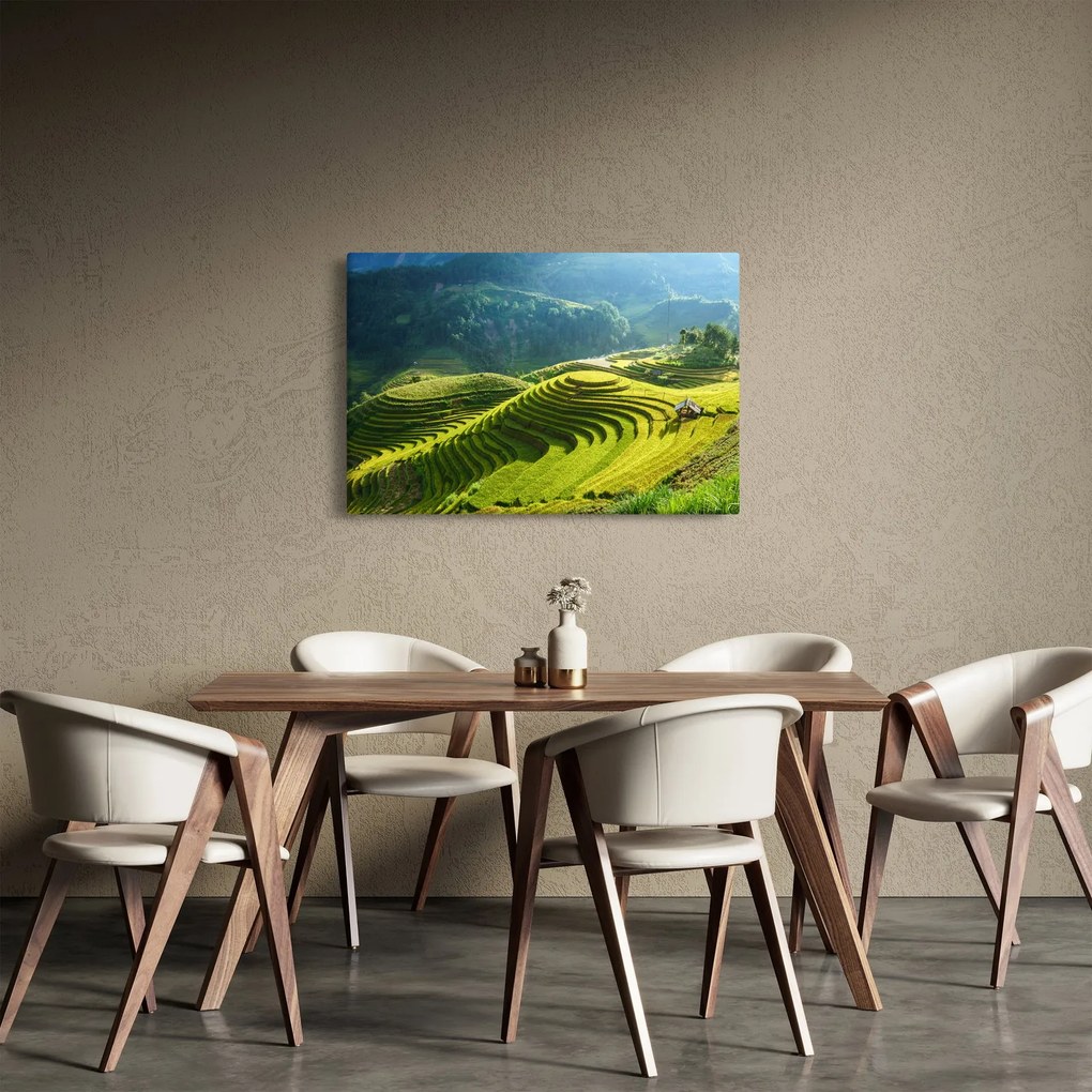 Obraz - Koncert ryžových terás (90x60 cm)