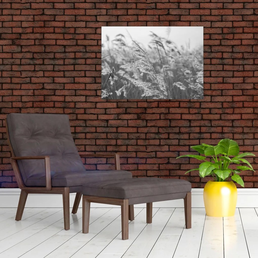 Sklenený obraz - Tráva vo vetre (70x50 cm)