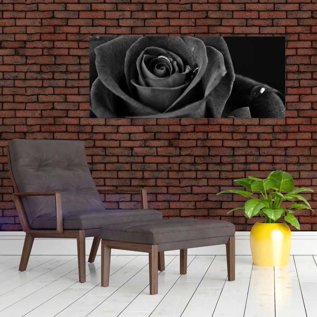 Obraz - Červená ruža (120x50 cm)
