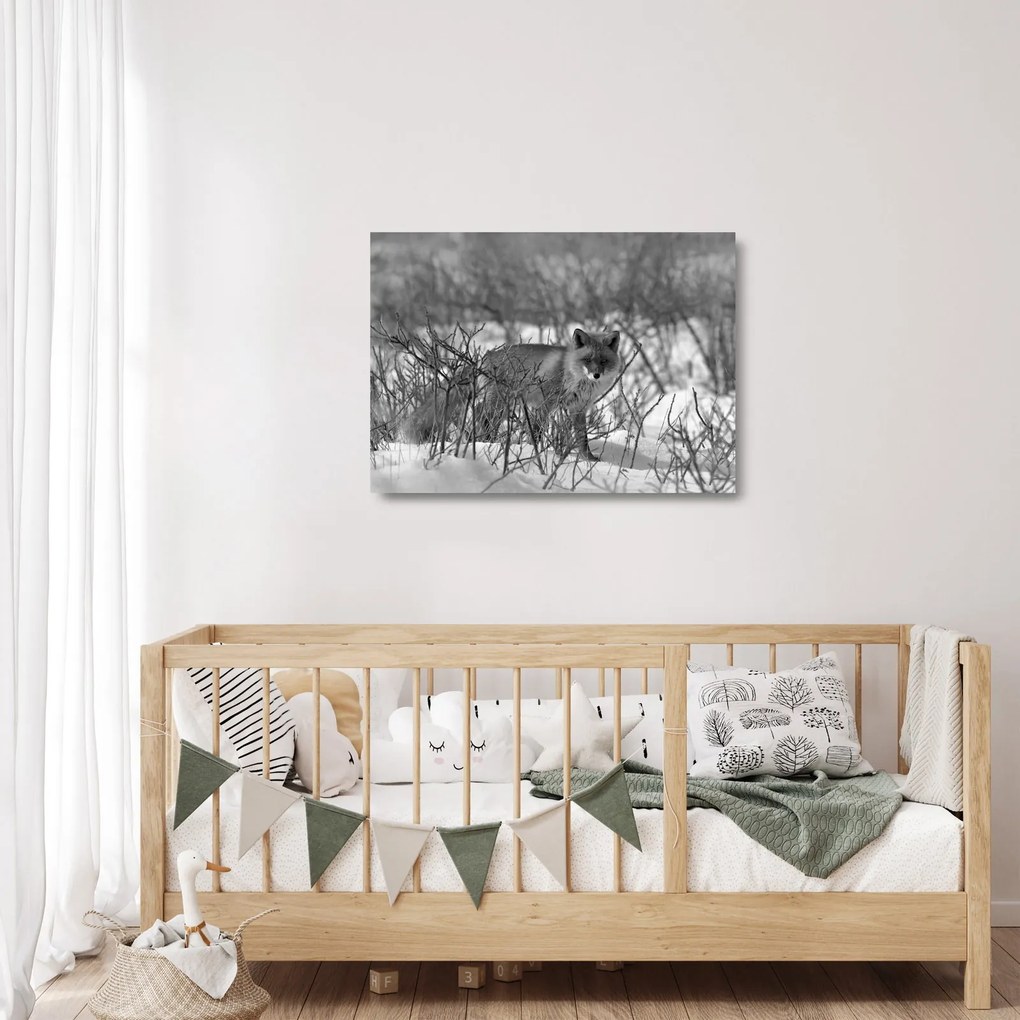 Sklenený obraz - Líška v zime (70x50 cm)