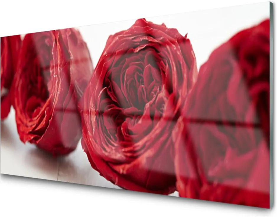 Obraz plexi Ruže Kvety Rastlina