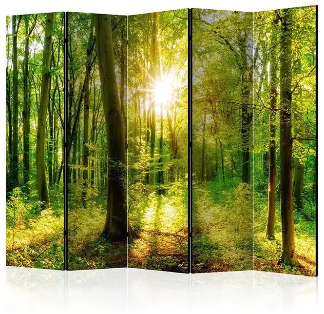 Paraván - Forest Rays II [Room Dividers] Veľkosť: 225x172, Verzia: Akustický