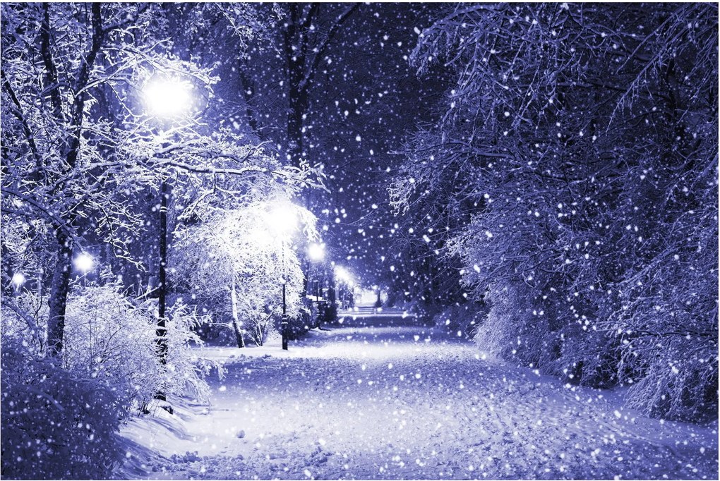 Obraz - Čarovná zimná noc (90x60 cm)