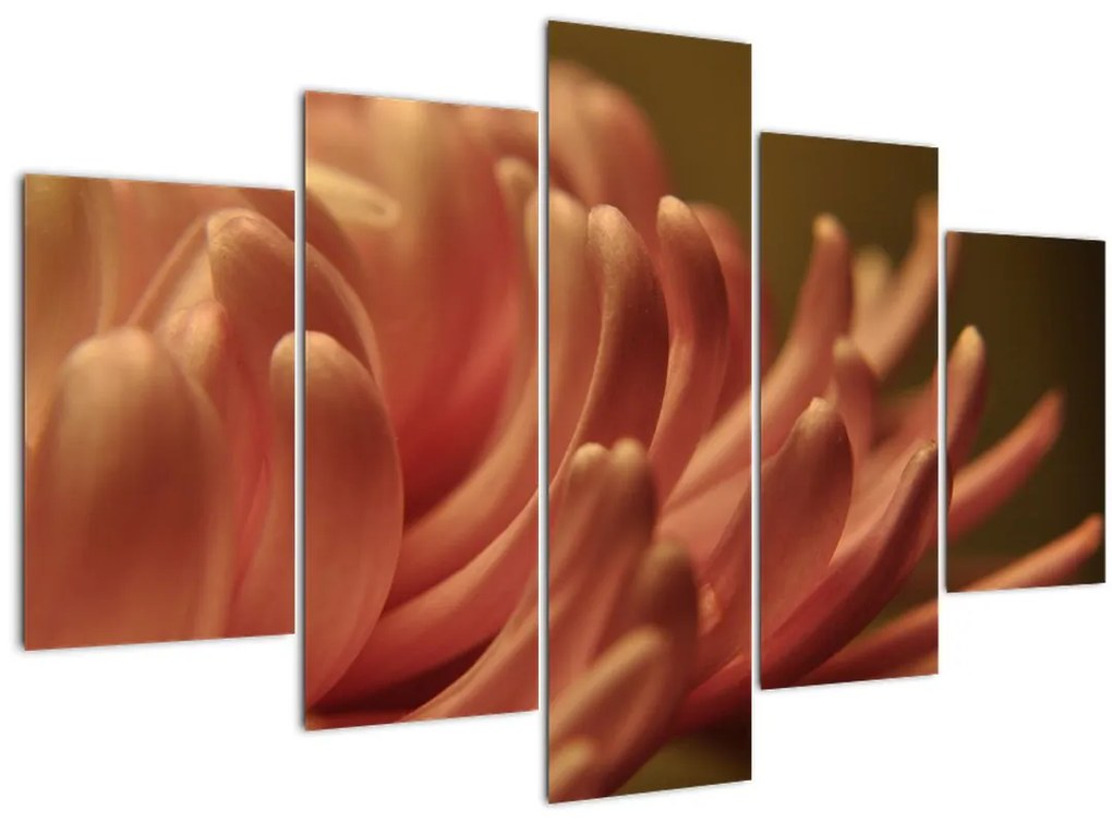 Obraz detailu kvety (150x105 cm)