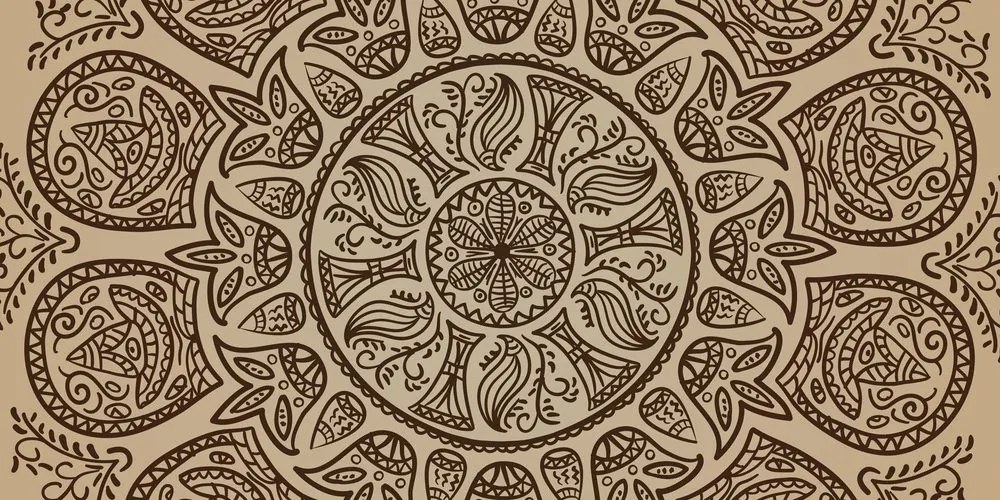 Obraz Mandala s abstraktným prírodným vzorom