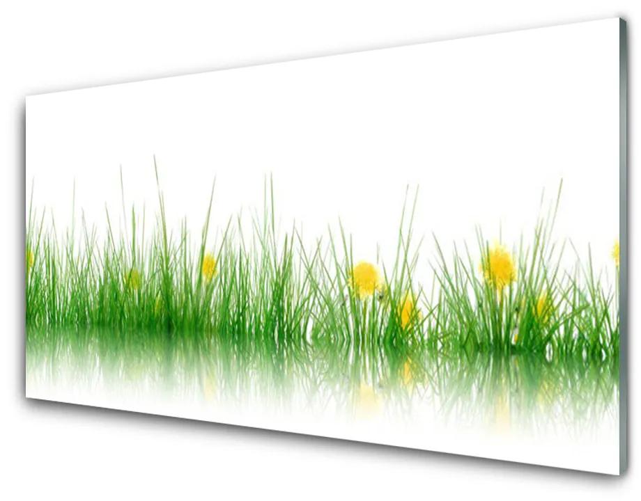 Skleneny obraz Príroda tráva kvety 125x50 cm
