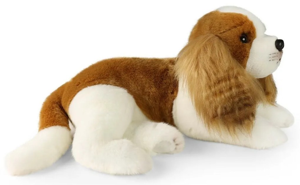 Rappa Plyšový pes Cavalier King Charles Spaniel 40cm ECO - FRIENDLY