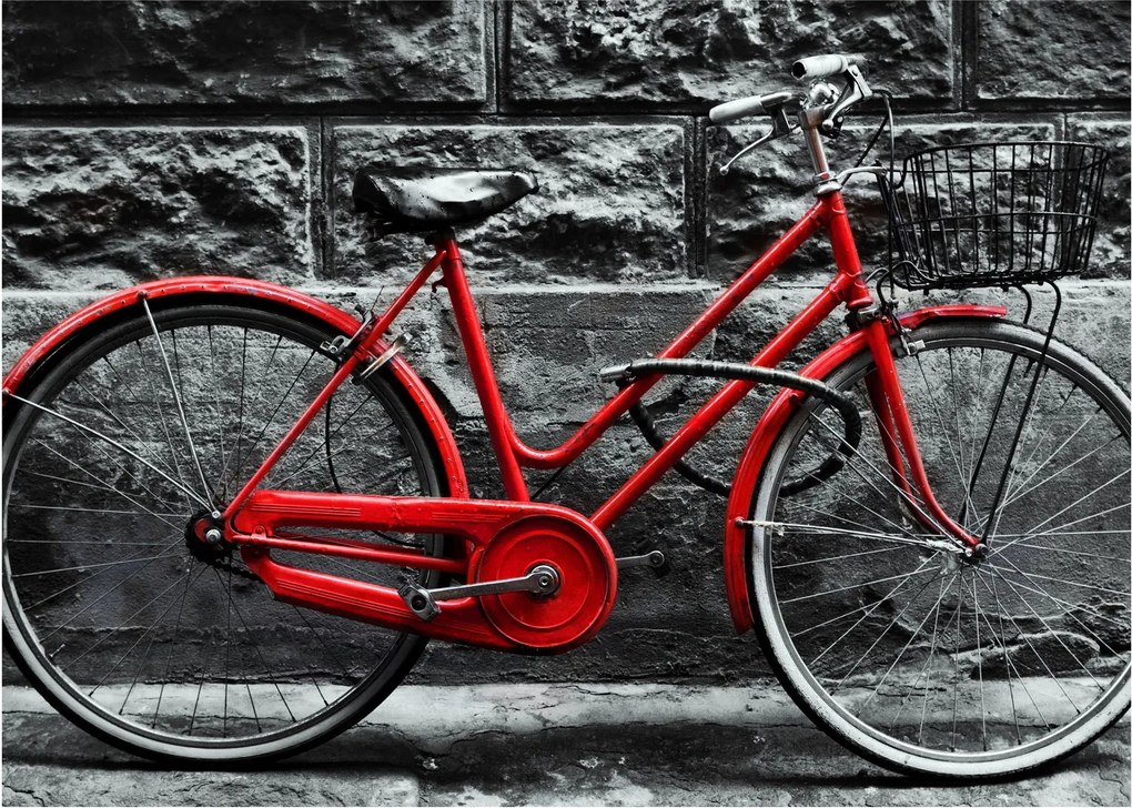 Obraz - Historický bicykel (70x50 cm)