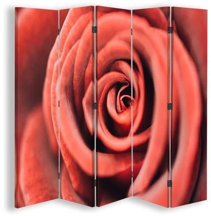 Ozdobný paraván, Květ růže v makroměřítku - 180x170 cm, päťdielny, klasický paraván