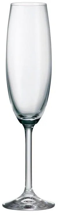 BOHEMIA COLIBRI POHÁR NA ŠAMPANSKÉ 220ML SADA 6KS