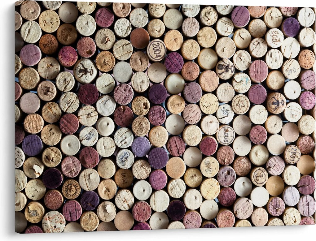 Obraz - Vinárska sezóna (70x50 cm)