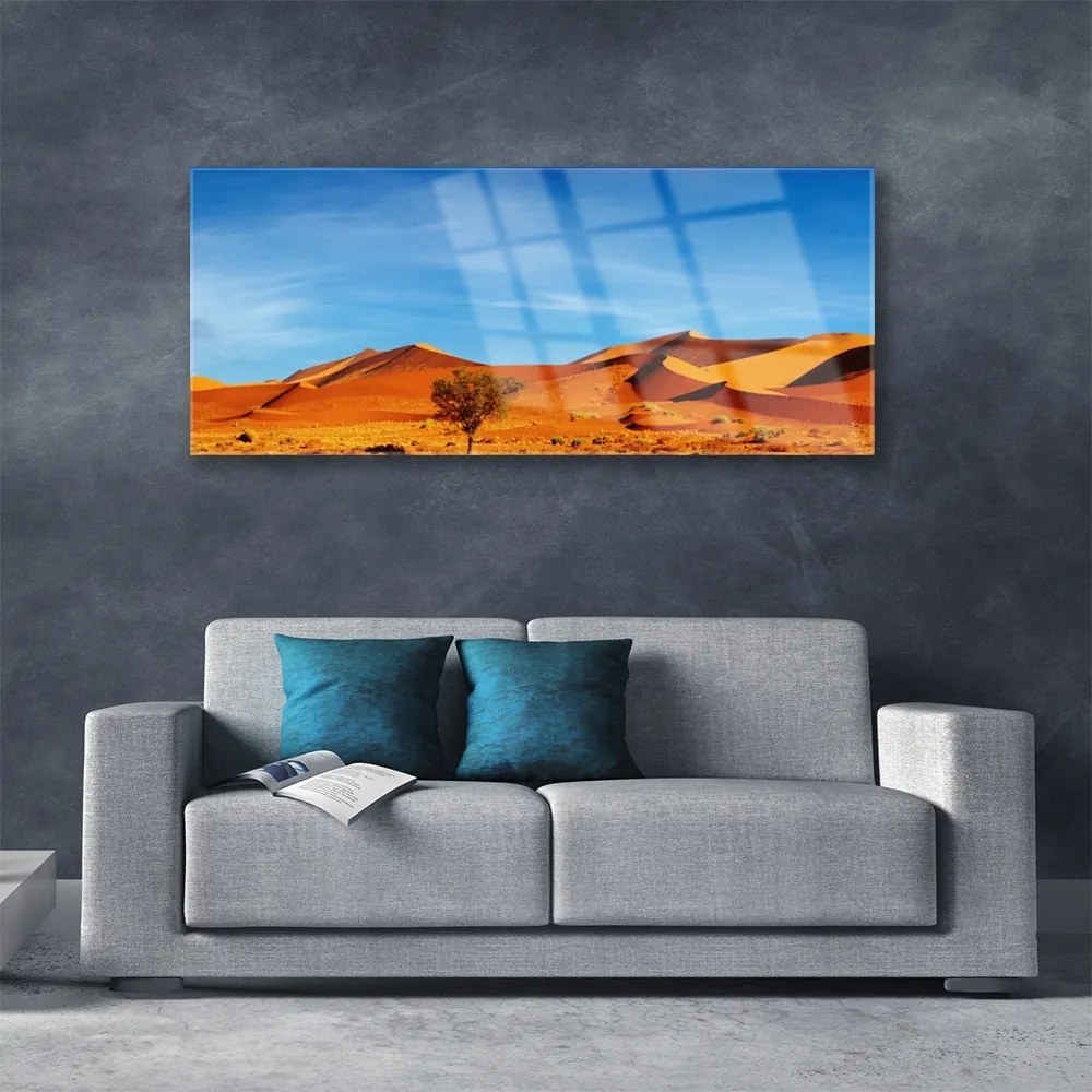Obraz plexi Púšť krajina 125x50 cm