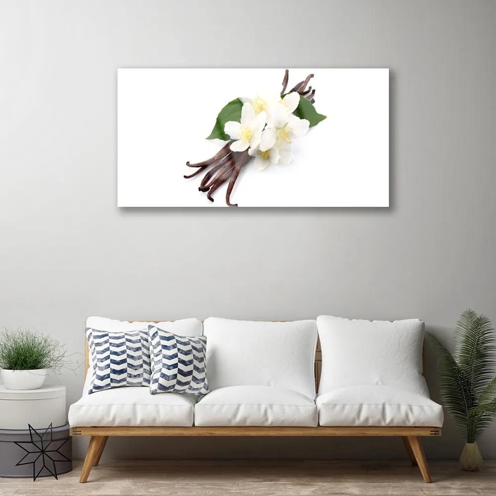 Skleneny obraz Vanilková tyčinka do kuchyne 100x50 cm