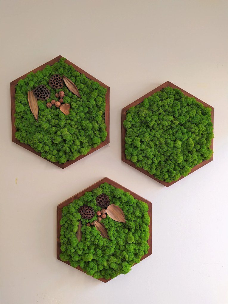 Sada machových obrazov- šesťuholník 3ks