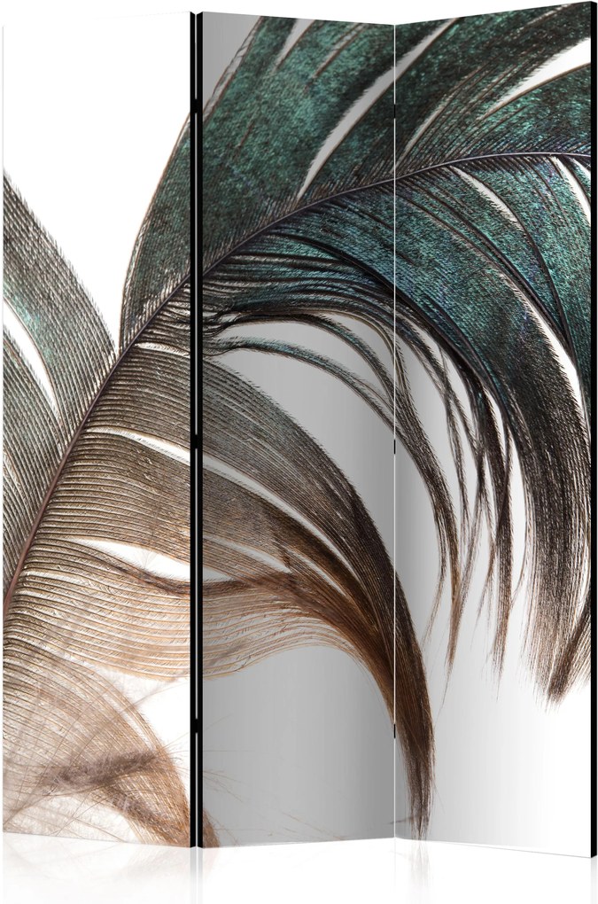 Paraván - Beautiful Feather [Room Dividers] 135x172 7-10 dní
