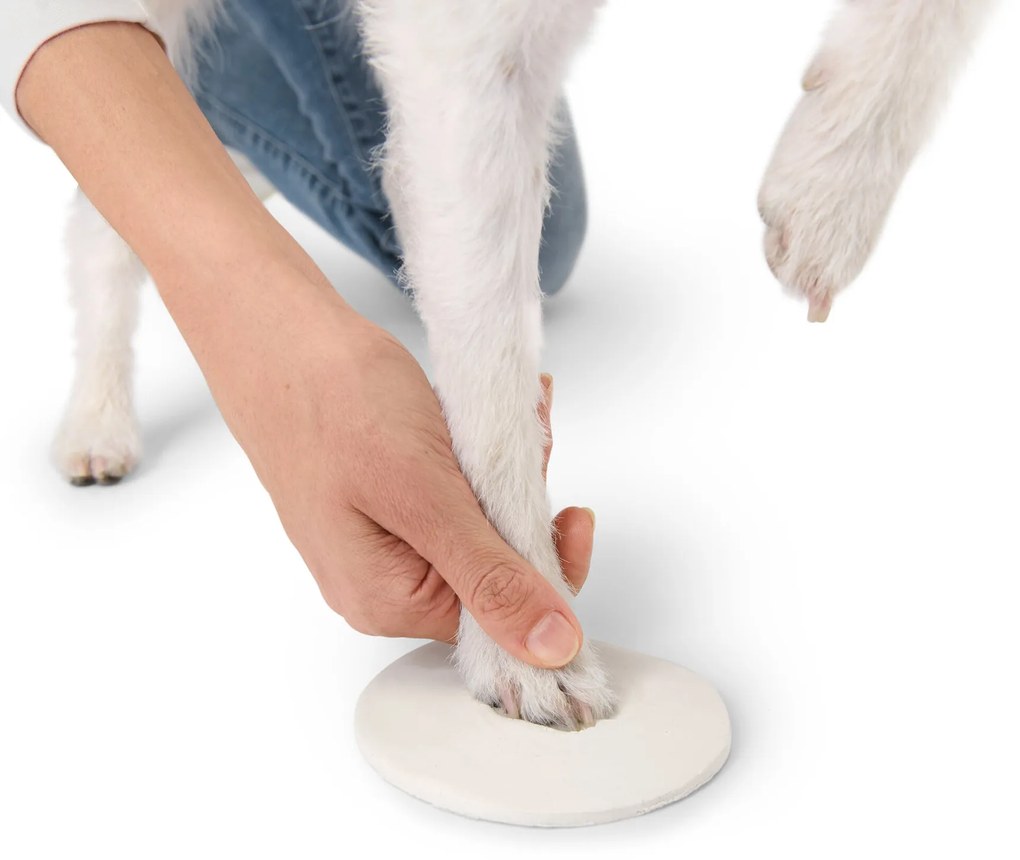 Súprava na vytváranie odtlačkov labiek