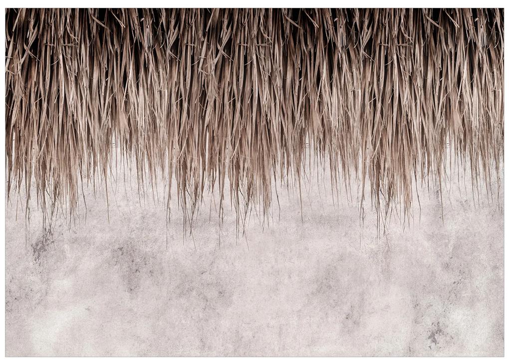 Artgeist Fototapeta - Palm Canopy Veľkosť: 100x70, Verzia: Standard