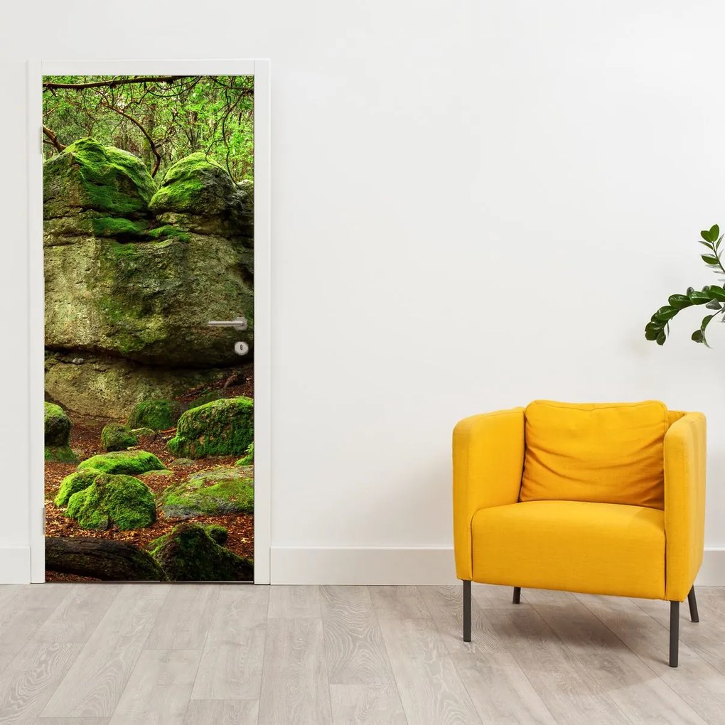 Fototapeta na dvere - Kúzelný les (95x205cm)