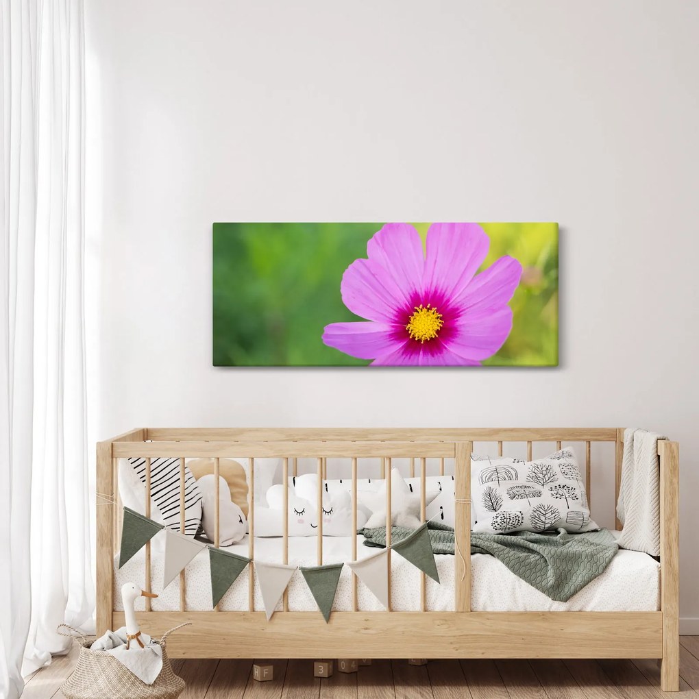Obraz - lúčna kvetina (120x50 cm)
