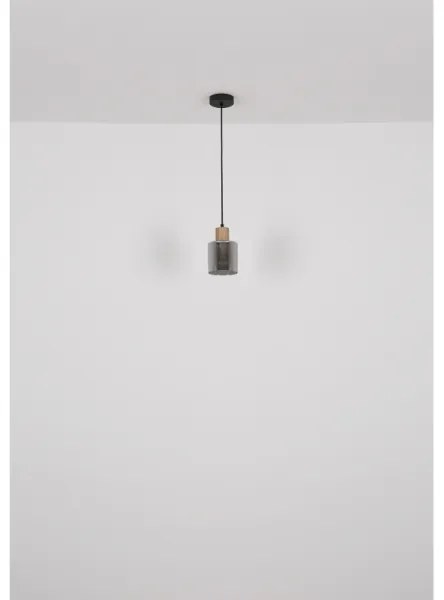 Globo 15768 - Závesné svietidlo na lanku ALEIDIS 1xE27/25W/230V pr. 12 cm