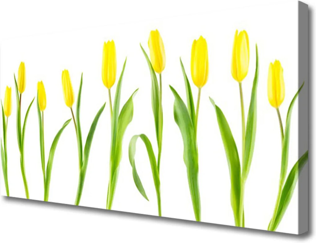 Obraz Canvas Žluté tulipány květiny