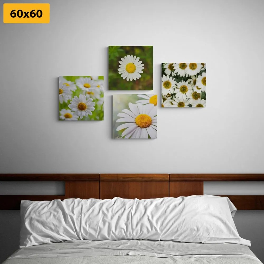 Set obrazov čarovné kvety Varianta: 4x 40x40
