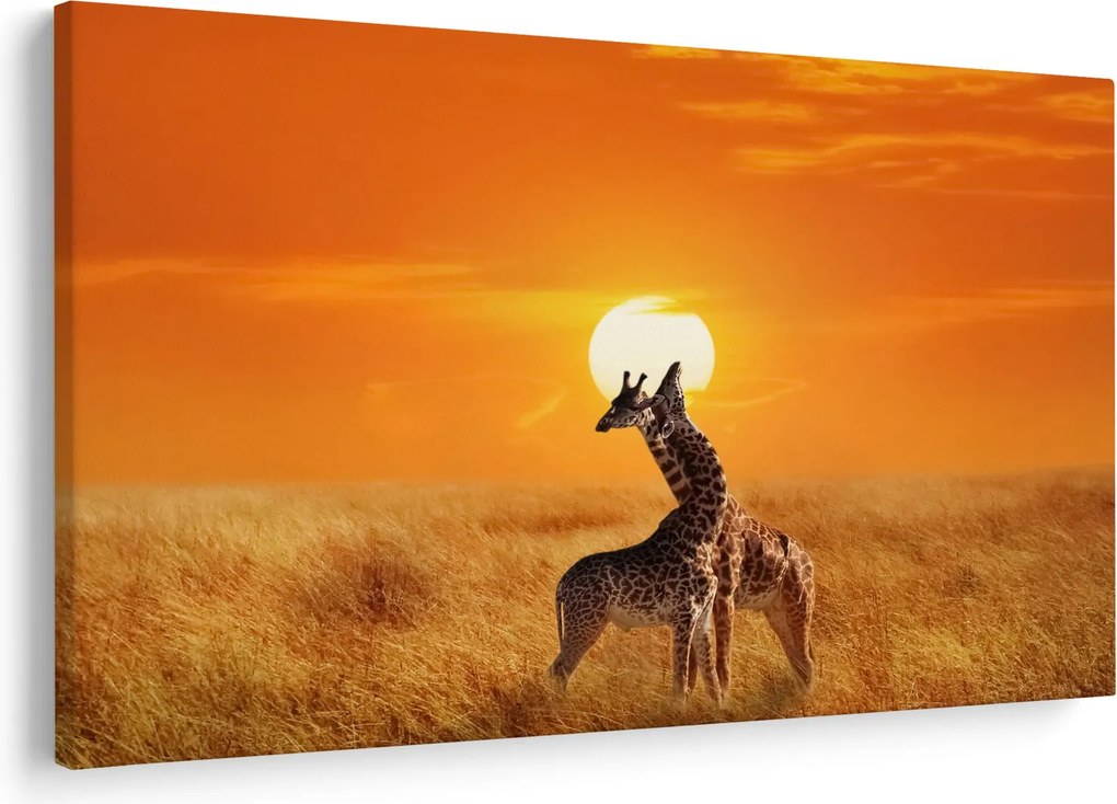 Obraz - Žirafy v národnom parku Serengeti (90x60 cm)