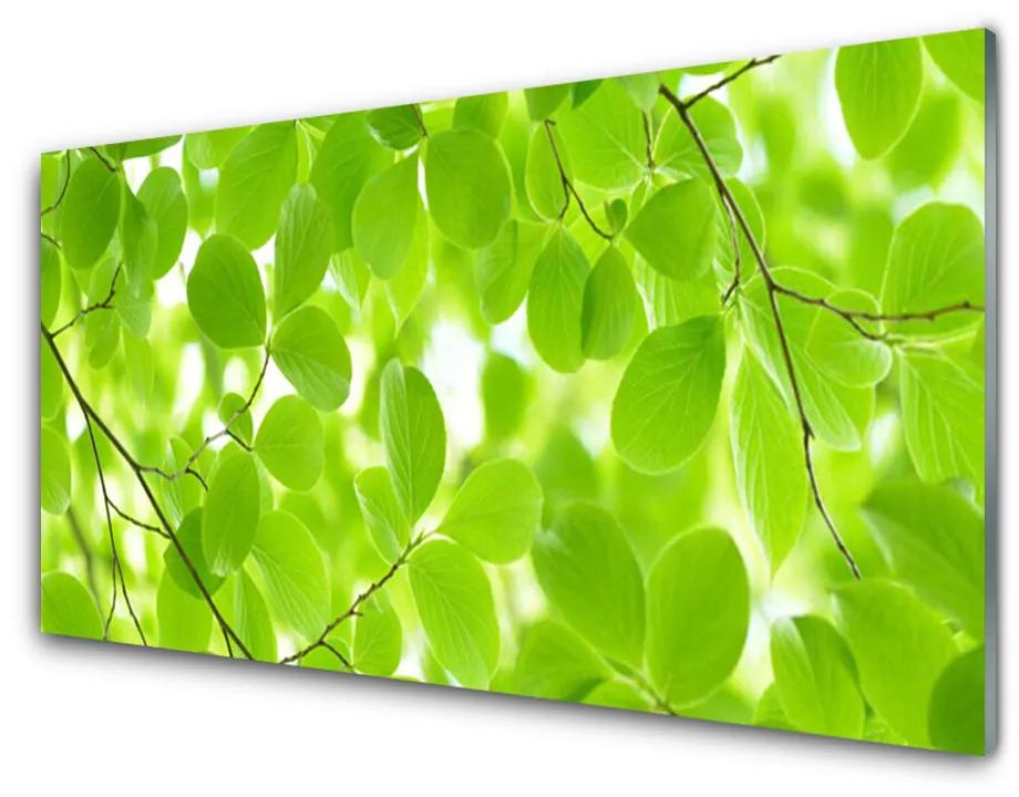 Obraz na skle Listy príroda 120x60 cm