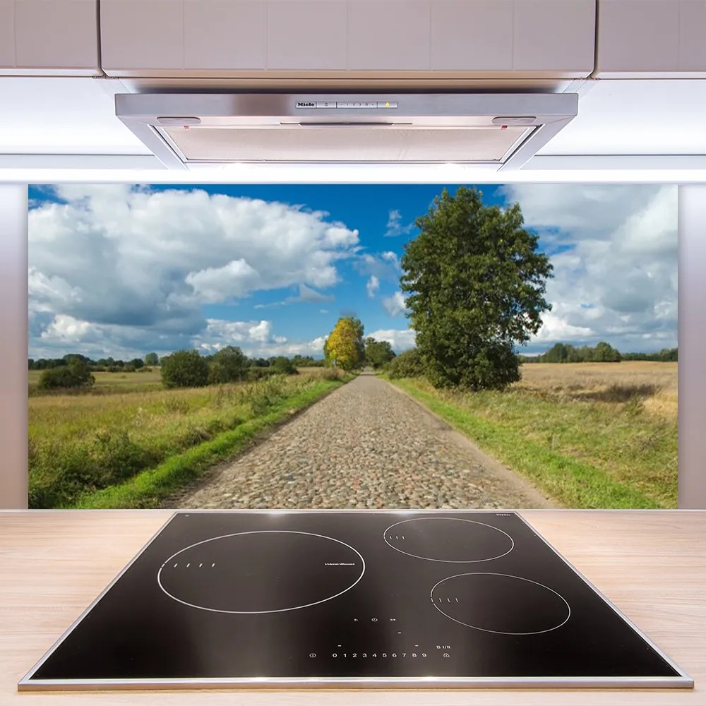 Nástenný panel  Dedina cesta dlažba krajina 120x60 cm