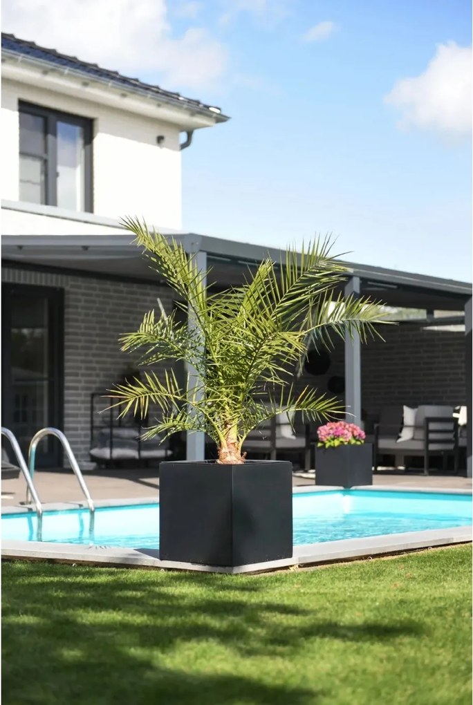 Kvetináč BLOCK, sklolaminát, 50x50x50 cm, antracit