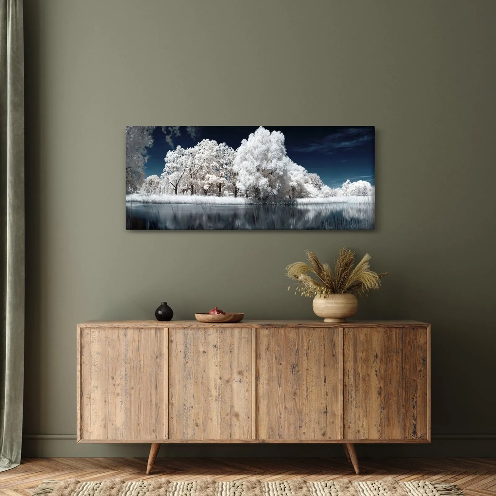 Obraz - Snehobiele stromy (120x50 cm)