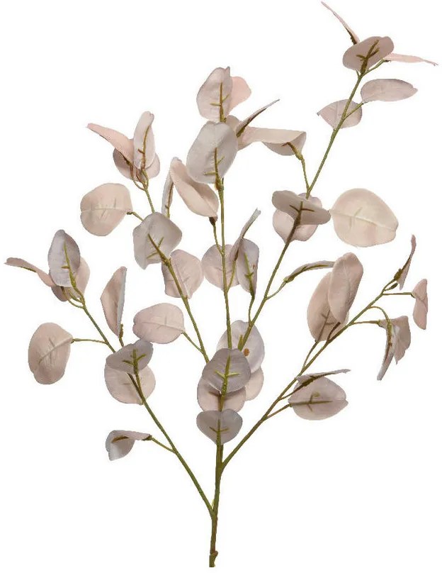 XXXLutz UMELÝ KVET eukalyptus 85 cm - Kvety & kvetináče - 003754670801