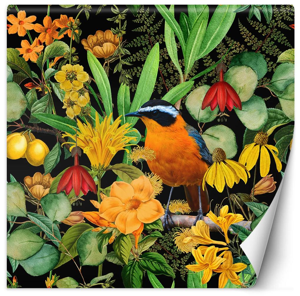 Gario Fototapeta Farebná abstraktná vtáčej prírody - Andrea Haase Materiál: Vliesová, Rozmery: 100 x 100 cm