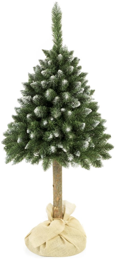 Vianočný stromček Borovica diamantová na pníku 220 cm