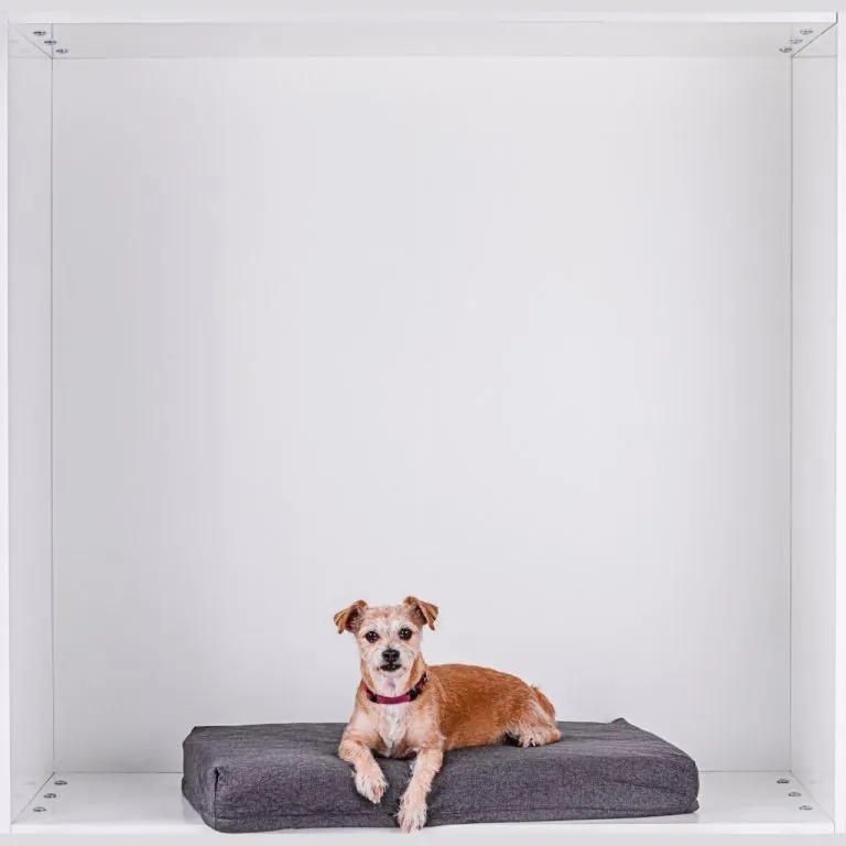 Vankúšik pre psa veľkosť L, svetlo šedý, 120 x 75 x 10 cm