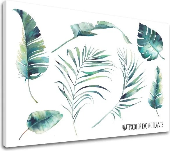 Obraz na stenu s textom Watercolor exotic plants