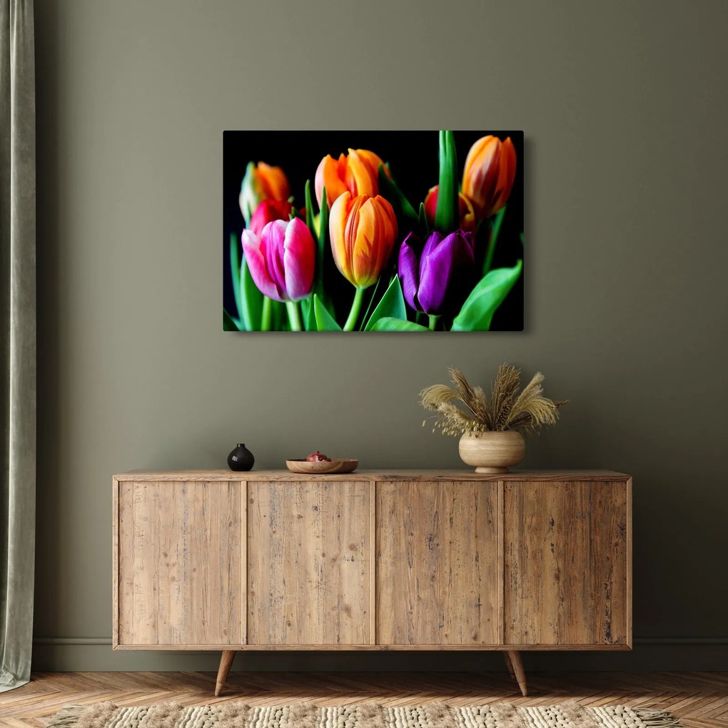 Obraz tulipánov na čiernom pozadí (90x60 cm)