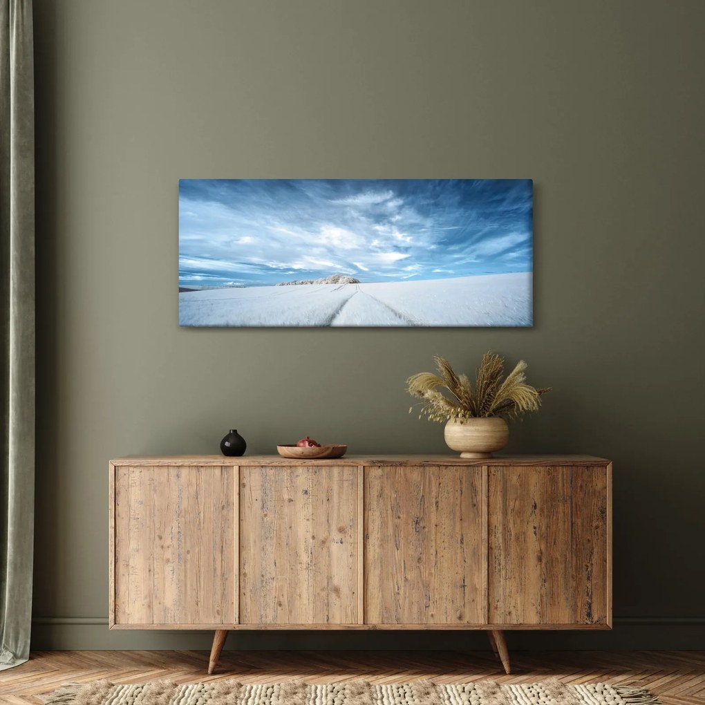 Obraz poľa (120x50 cm)