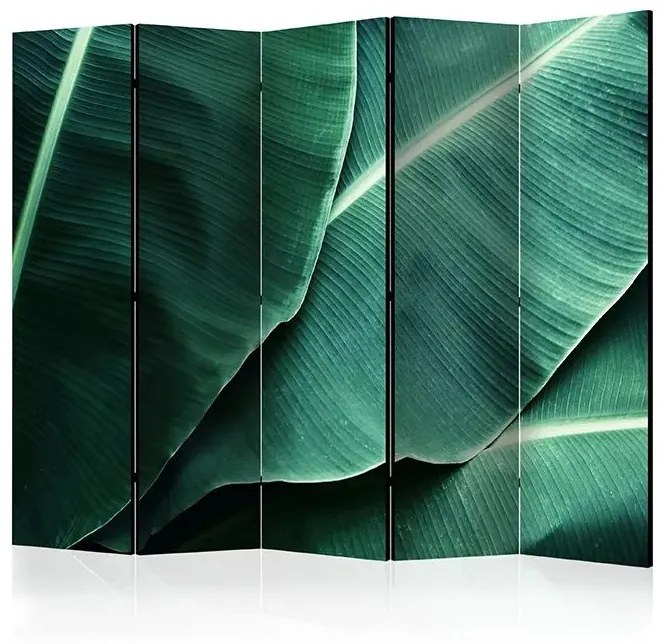 Paraván - Banana Leaf II [Room Dividers] Veľkosť: 225x172, Verzia: Obojstranný