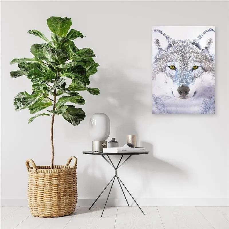 Obraz na plátně Vlk šedý Příroda Zvířata - 70x100 cm