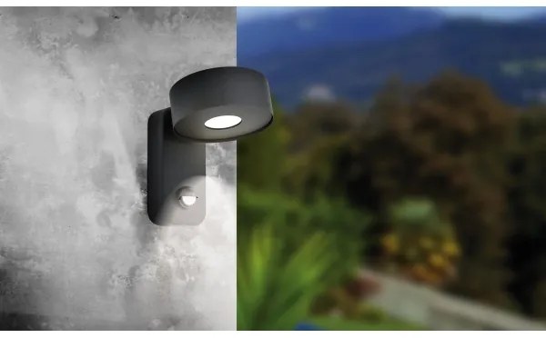 Eglo 98738 - LED Vonkajšie nástenné svietidlo so senzorom PALOSCO LED/6W/230V IP44
