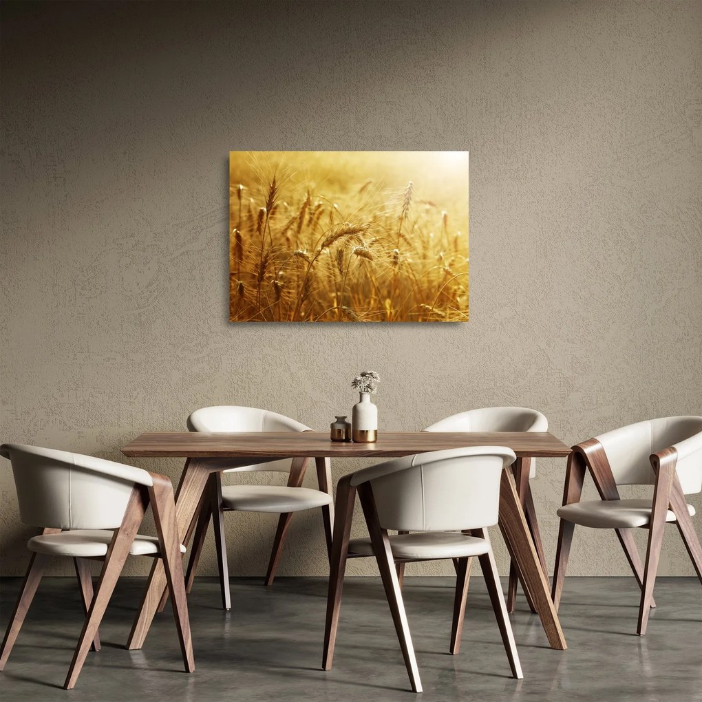 Sklenený obraz - Klasy obilia (70x50 cm)