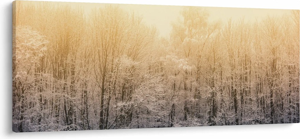 Obraz mrazivého lesa (120x50 cm)